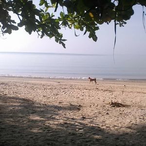 Meet your Posher, Dianne